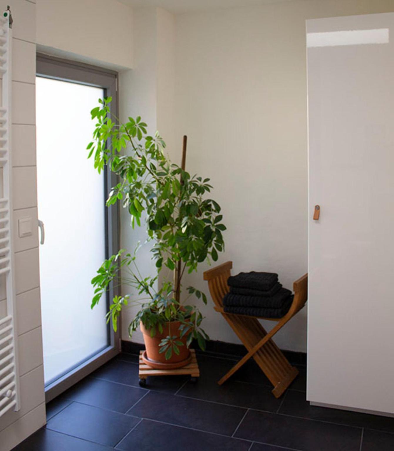 Achterdeck Mit Sauna เอ็คคานเฟอร์เดอ ภายนอก รูปภาพ